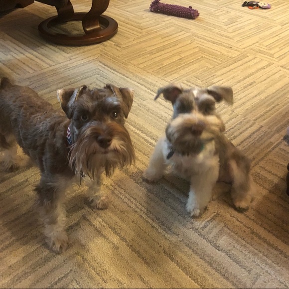 Meet your Posher, Vickie - Picture 5 of 5